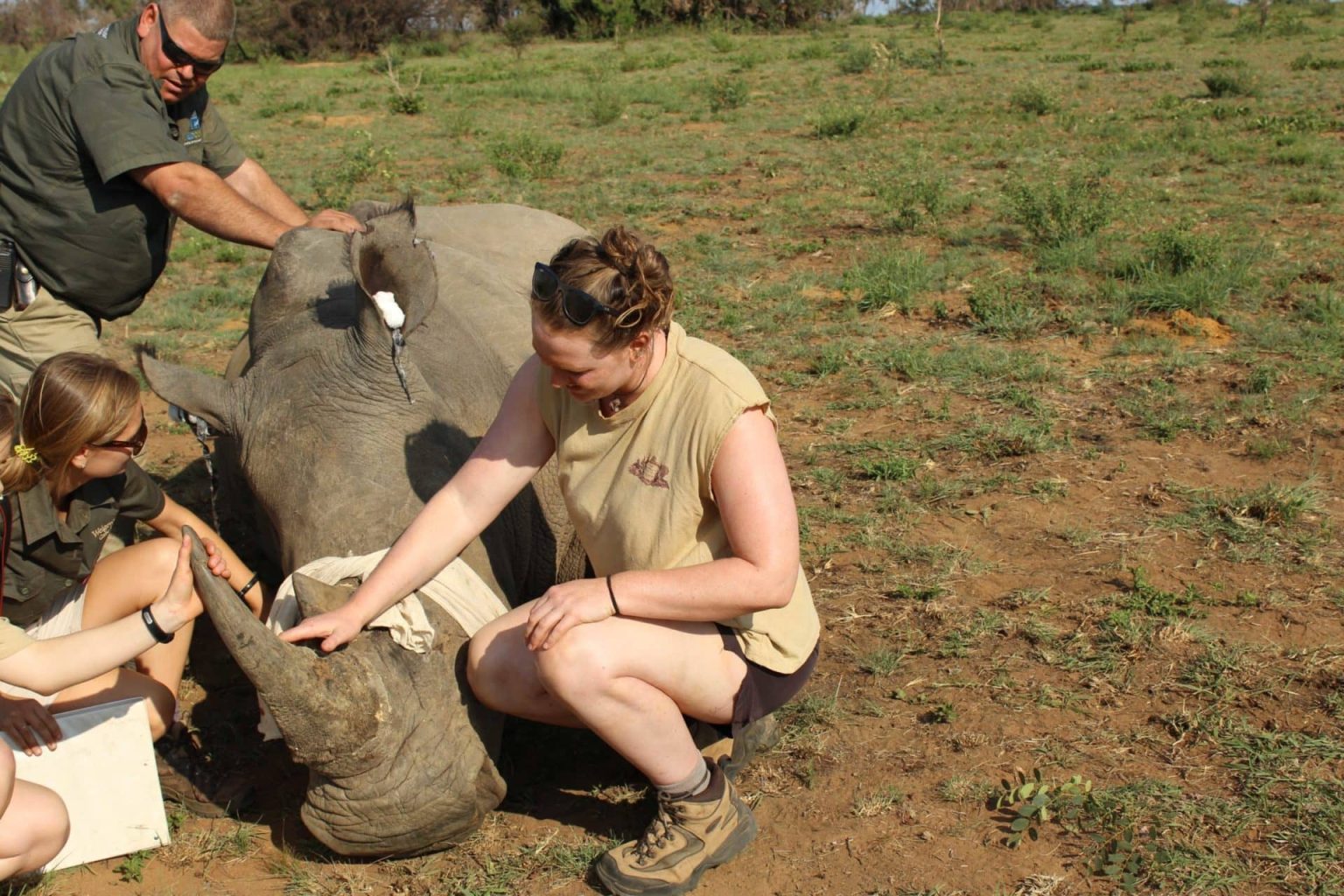 A-Day-in-the-Life-Rhino