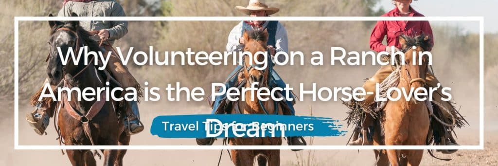 ranch, USA, America, volunteer, horses, horse-lover's dream