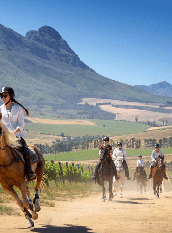 Africa Horse Adventure - Horseback Riding - 15