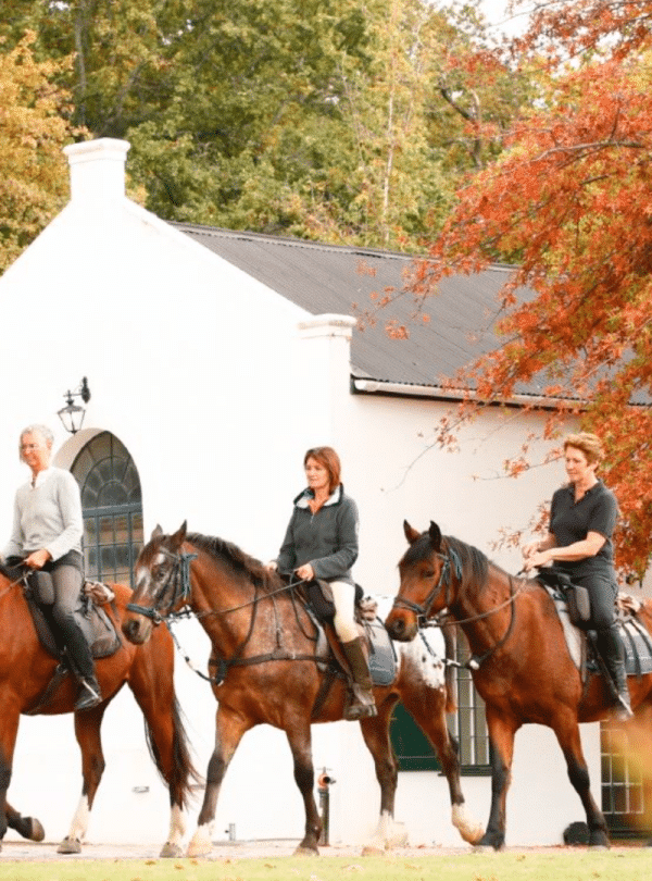 Africa Horse Adventure - Horseback Riding - 16