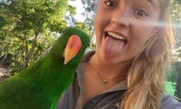 Australia Wildlife Sanctuary - parrot
