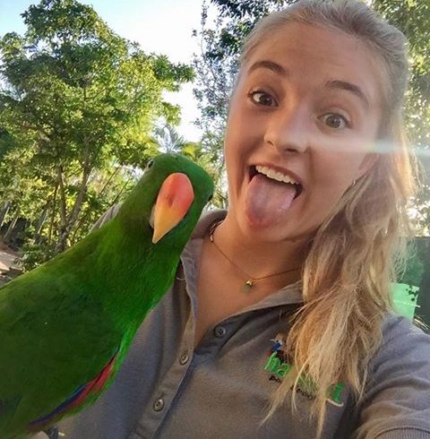 Australia Wildlife Sanctuary - parrot