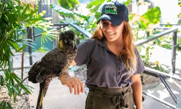 Australia Wildlife Sanctuary - 70