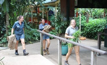 Australia Wildlife Sanctuary - Preparing food for animals - 1
