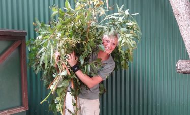 Australia Wildlife Sanctuary - Preparing food for animals - 3