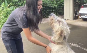 Hawaii Wildlife Sanctuary - with a white dog