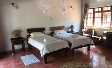 Lion Sanctuary - Bed - 2