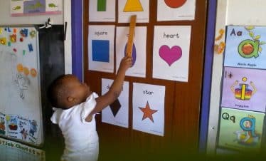 Lion Sanctuary Teaching School - learning shapes