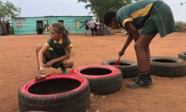 Lion Sanctuary Teaching School - painting tires