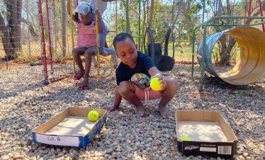Lion Sanctuary Teaching School - tennis ball
