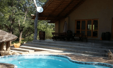 Lion Sanctuary - pool