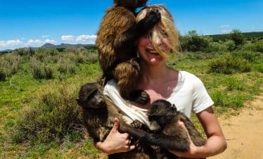 Namibia Wildlife Sanctuary - A volunteer with a baboon - 6