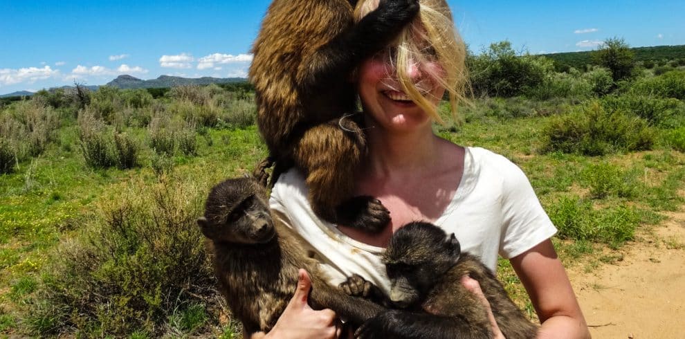 Namibia Wildlife Sanctuary - A volunteer with a baboon - 6