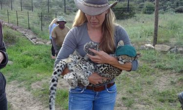 Namibia Wildlife Sanctuary - Cheetah - 17