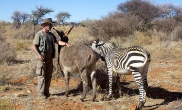 Namibia Wildlife Sanctuary - Deer and Zebra with a volunteer