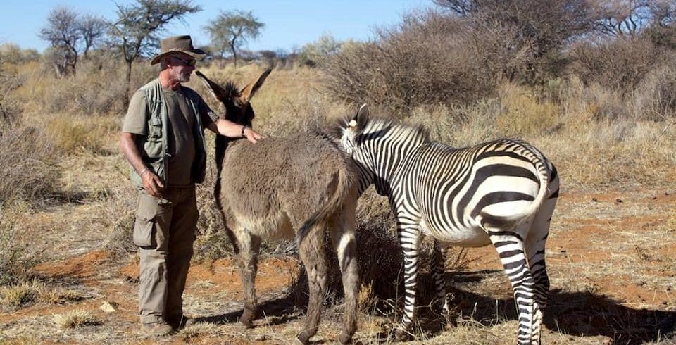 Namibia Wildlife Sanctuary - Deer and Zebra with a volunteer