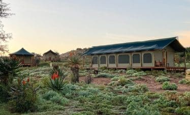 South Africa Wildlife Sanctuary IWH - outside
