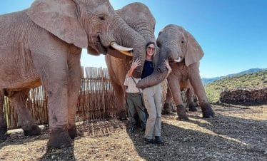South Africa Wildlife Sanctuary IWH - with 3 elephants