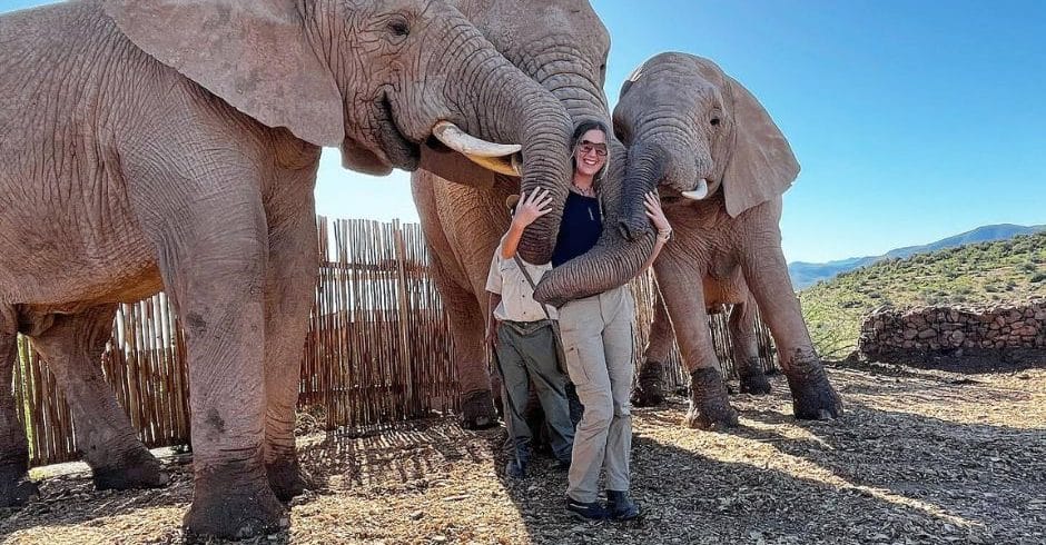 South Africa Wildlife Sanctuary IWH - with 3 elephants