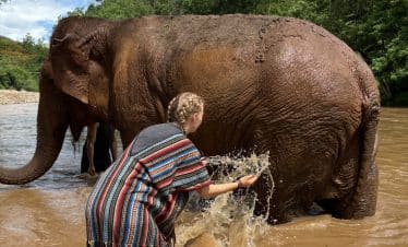 Thailand Elephant Sanctuary - Bathing Elephant - 2