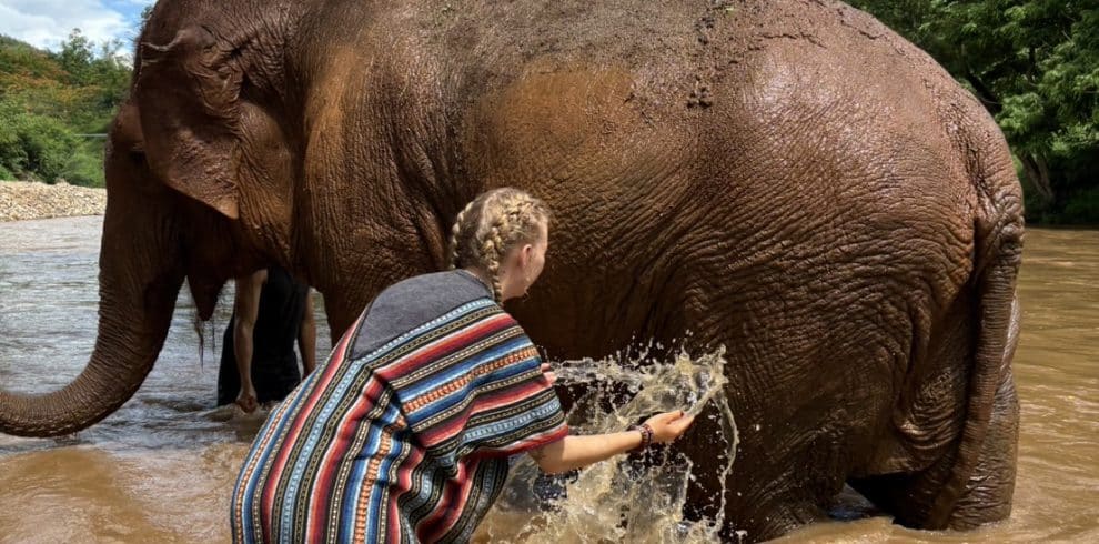 Thailand Elephant Sanctuary - Bathing Elephant - 2