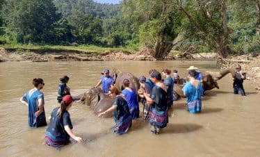 Thailand Elephant Sanctuary - On water with Elephant