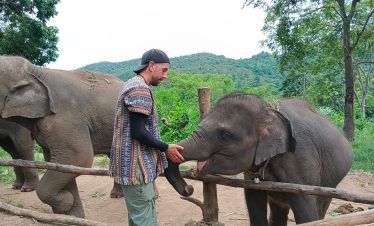 Thailand Elephant Sanctuary - Volunteers Petting Elephants - 9