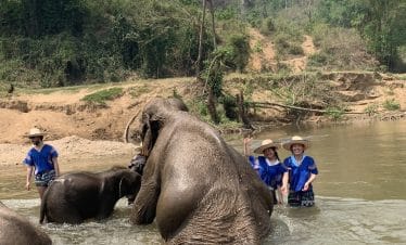 Thailand Elephant Sanctuary - Volunteers with Elephants - 14