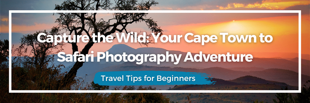 Capture the Wild Your Cape Town to Safari Photography Adventure