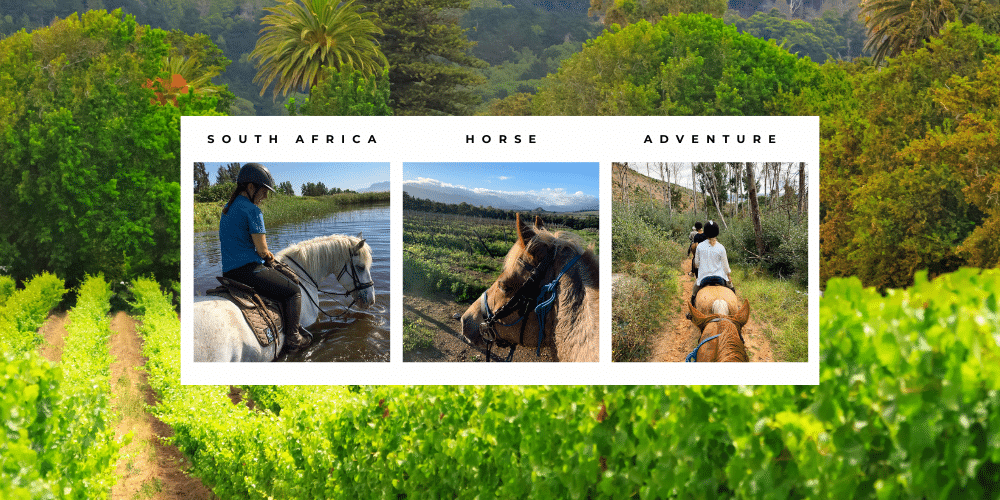 Saddle Up for the Adventure of a Lifetime in South Africa