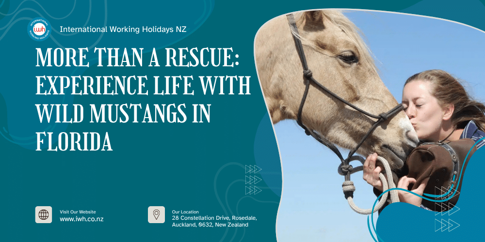 More Than a Rescue: Experience Life with Wild Mustangs in Florida