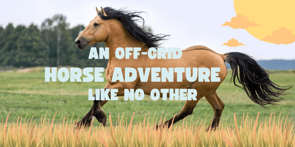 Hoofprints in Botswana: An Off-Grid Horse Adventure Like No Other